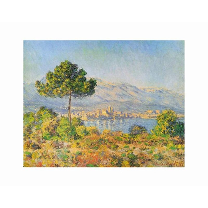 Foto van Claude monet - antibes, 1888 kunstdruk 71x56cm