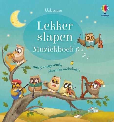 Foto van Lekker slapen muziekboek - kartonboekje;kartonboekje (9781474993975)