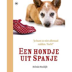 Foto van Een hondje uit spanje