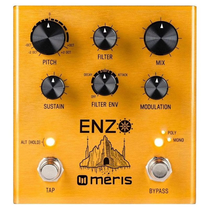 Foto van Meris enzo multi-voice instrument synthesizer effectpedaal