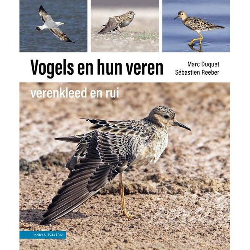 Foto van Vogels en hun veren