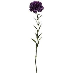 Foto van Kunstbloem dianthus spray - paars - 67 cm - leen bakker