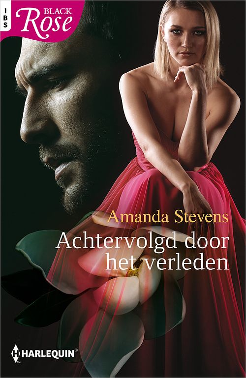 Foto van Achtervolgd door het verleden - amanda stevens - ebook