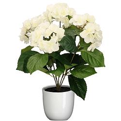 Foto van Hortensia kunstplant/kunstbloemen 40 cm - wit - in pot wit glans - kunstplanten