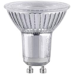 Foto van Paulmann 28984 led-lamp energielabel f (a - g) gu10 reflector 7 w warmwit (ø x h) 50 mm x 52 mm 1 stuk(s)