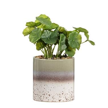 Foto van Kunstplant hydrocotyle in pot - groen - 30 cm - leen bakker