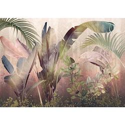 Foto van Komar rainforest mist vlies fotobehang 350x250cm 7-banen