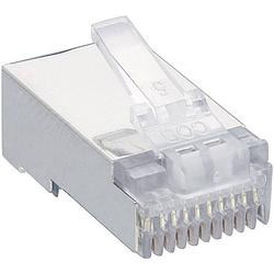 Foto van Lumberg p 303 s modulairstekker stekker, recht rj48 aantal polen: 10p10c transparant 1 stuk(s)