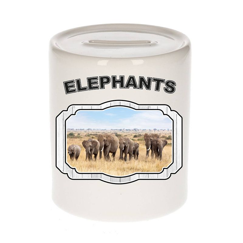 Foto van Dieren olifant spaarpot - elephants/ olifanten spaarpotten kinderen 9 cm - spaarpotten