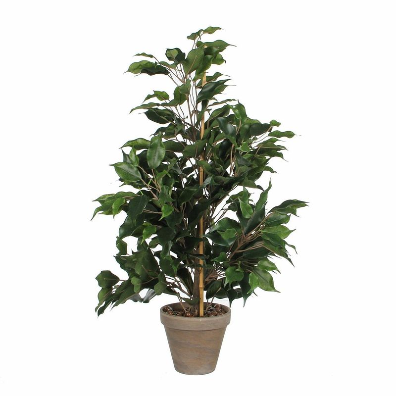 Foto van Groene tropische ficus kunstplant 65 cm voor binnen - kunstplanten/nepplanten/binnenplanten.