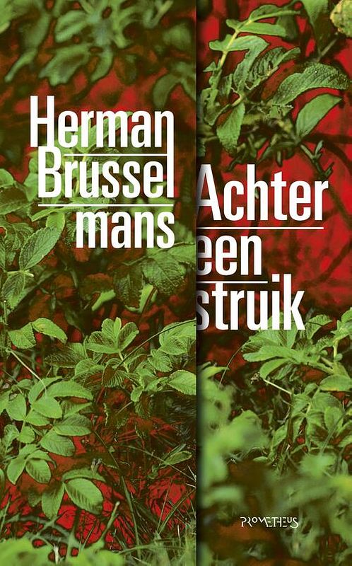 Foto van Achter een struik - herman brusselmans - ebook (9789044637571)