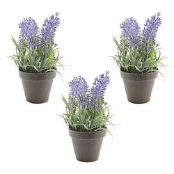 Foto van 3x groen/paarse lavendula/lavendel kunstplanten 17 cm zwarte pot - kunstplanten