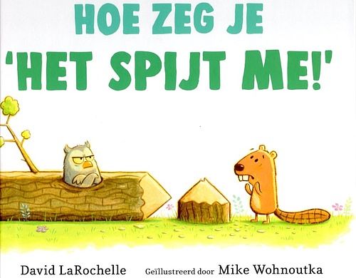 Foto van Hoe zeg je 'shet spijt me!'s - david larochelle - hardcover (9789053418208)