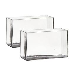 Foto van Set van 2x stuks transparante rechthoek accubak vaas/vazen van glas 25 x 10 x 15 cm - vazen