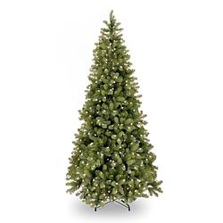 Foto van National tree company - poly bayberry slim kunstkerstboom hinged 198 cm met 400 led power connect