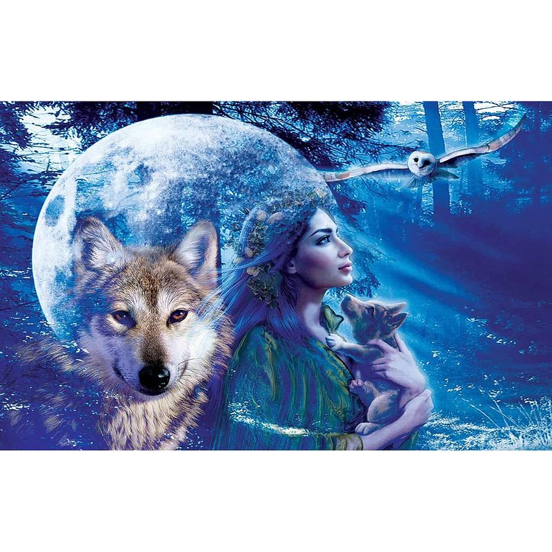 Foto van Diamond painting pakket vrouw met wolf en uil - volledig - full - 25x30 cm - seos shop ®