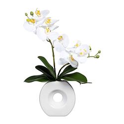 Foto van Kopu® kunstbloem witte orchidee 35 cm in mooie witte vaas - phalenopsis