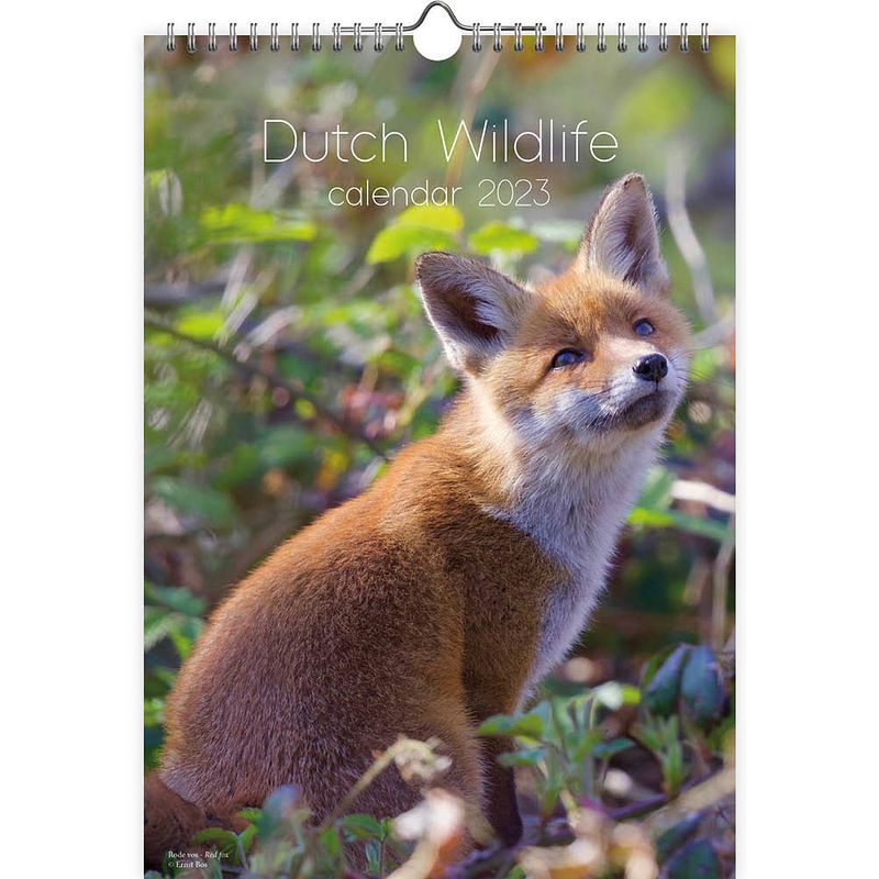 Foto van Dutch wildlife kalender 2023