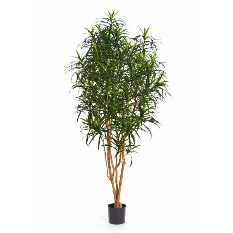 Foto van Kunstplant dracaena anita - 180 cm