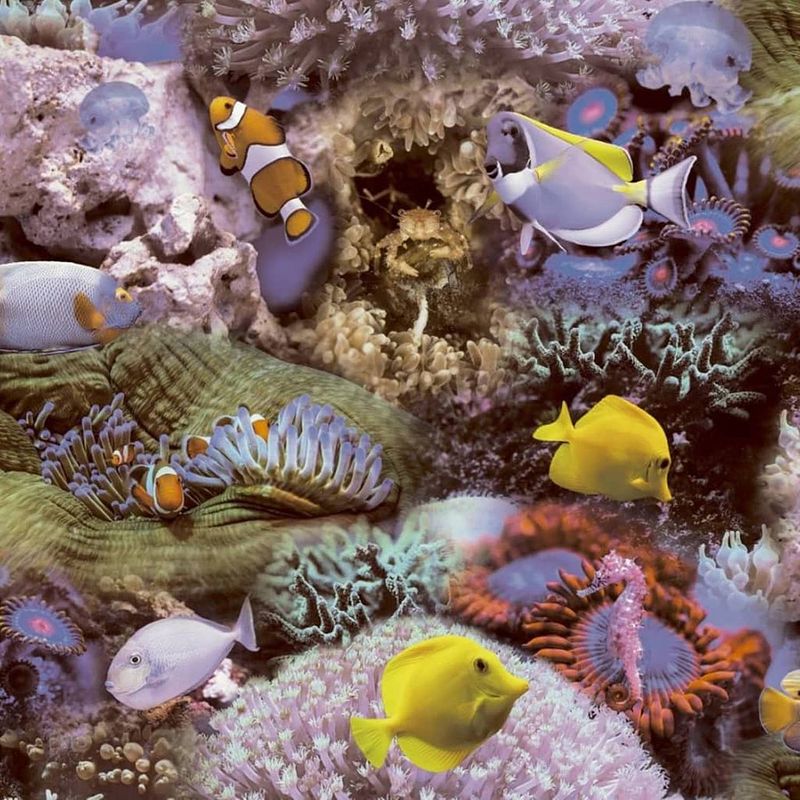 Foto van Good vibes behang coral and tropical fish geel en paars