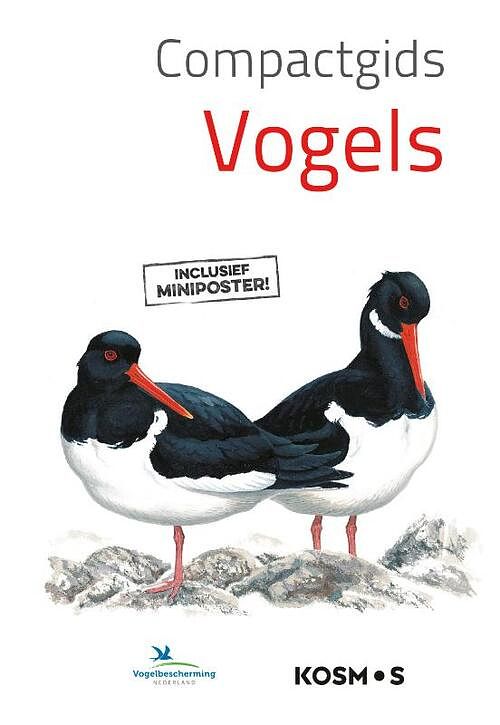 Foto van Compactgids vogels - paperback (9789021578965)