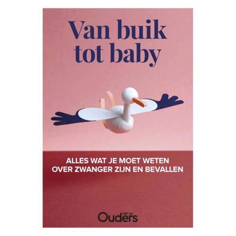 Foto van Van buik tot baby