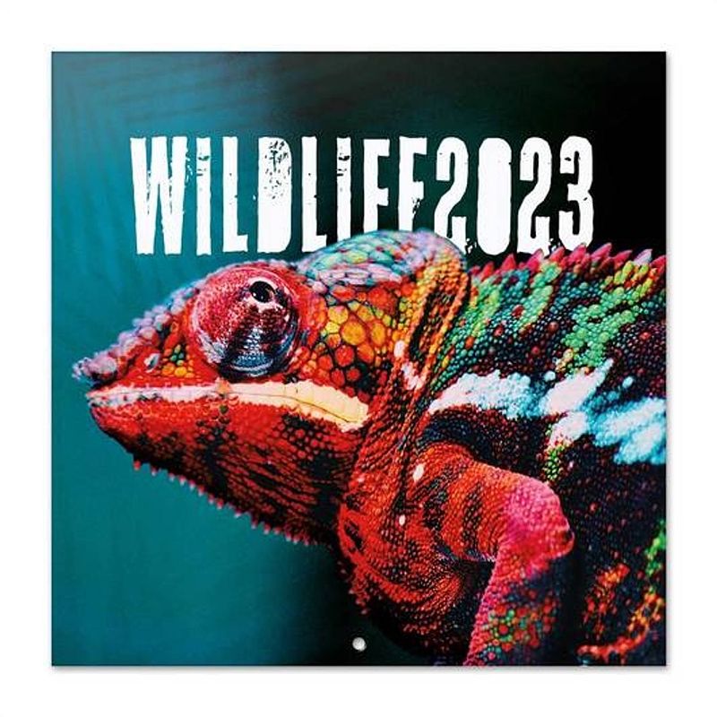 Foto van Wildlife kalender 2023