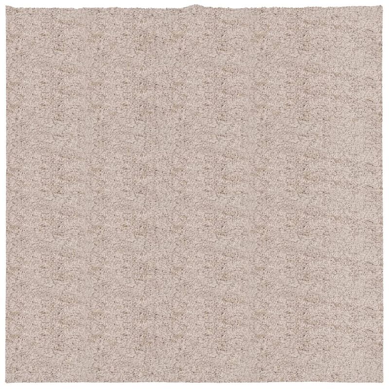 Foto van Vidaxl vloerkleed pamplona shaggy hoogpolig modern 160x160 cm beige