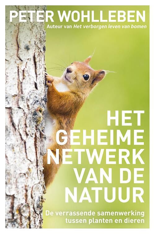 Foto van Het geheime netwerk van de natuur - peter wohlleben - ebook (9789044977134)