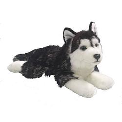 Foto van Pluche liggende husky honden knuffel 32 cm - knuffel huisdieren