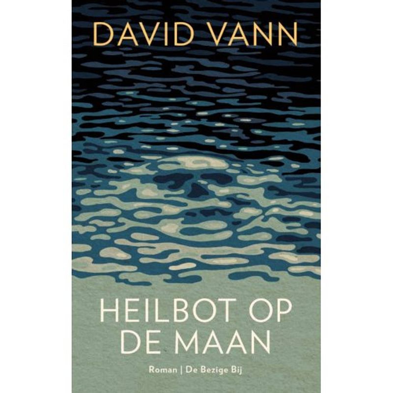 Foto van Heilbot op de maan