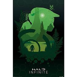 Foto van Pyramid halo infinite lakeside poster 61x91,5cm