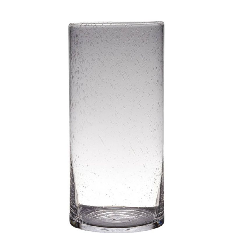 Foto van Transparante home-basics cylinder vorm vaas/vazen van bubbel glas 40 x 19 cm - vazen