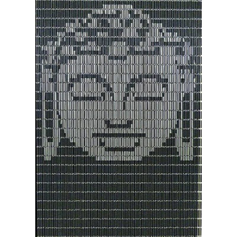 Foto van Vliegengordijnenexpert hulzen buddah antraciet-zilver - 90x210cm