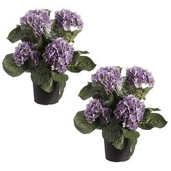 Foto van Set van 2x stuks paarse hortensia hydrangea kunstplanten in zwarte kunststof pot 44 cm - kunstplanten