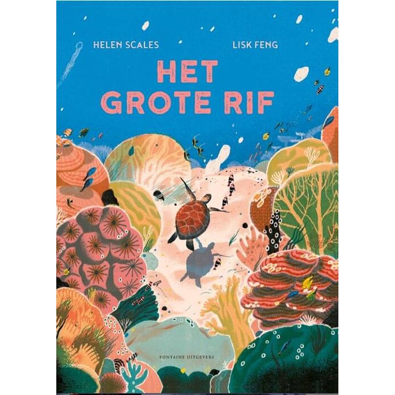 Foto van Het grote rif