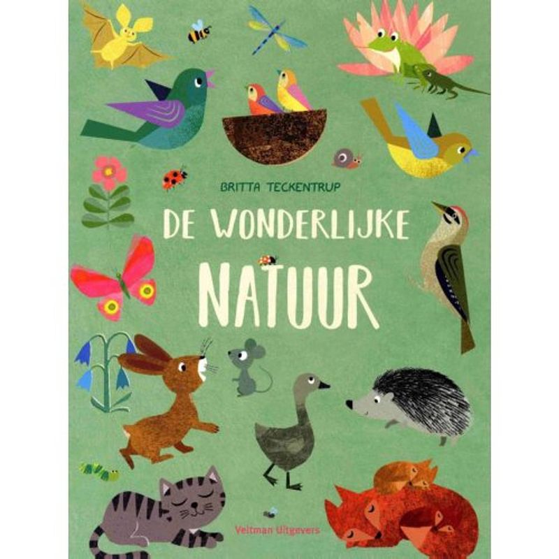 Foto van De wonderlijke natuur