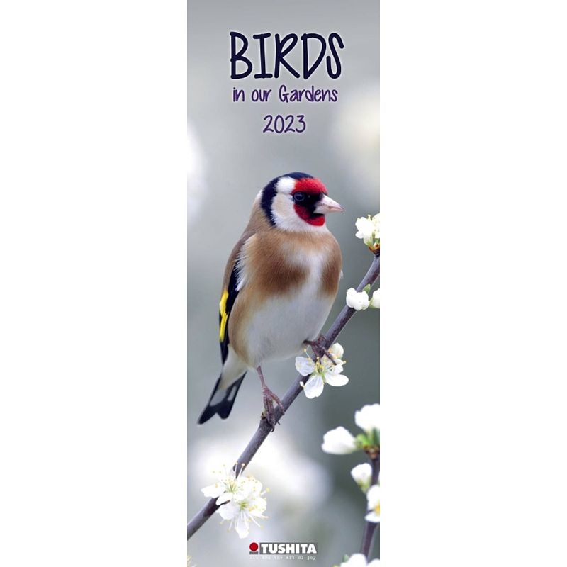 Foto van Birds in our garden kalender 2023 slimline