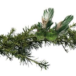 Foto van 2x stuks kerstboom vogels op clip groen 11 cm - kersthangers