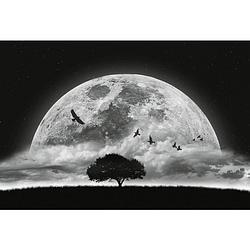 Foto van Wizard+genius moon and birds vlies fotobehang 384x260cm 8-banen