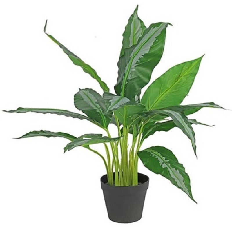 Foto van Non-branded kunstplant dieffenbachia 45 x 70 cm groen