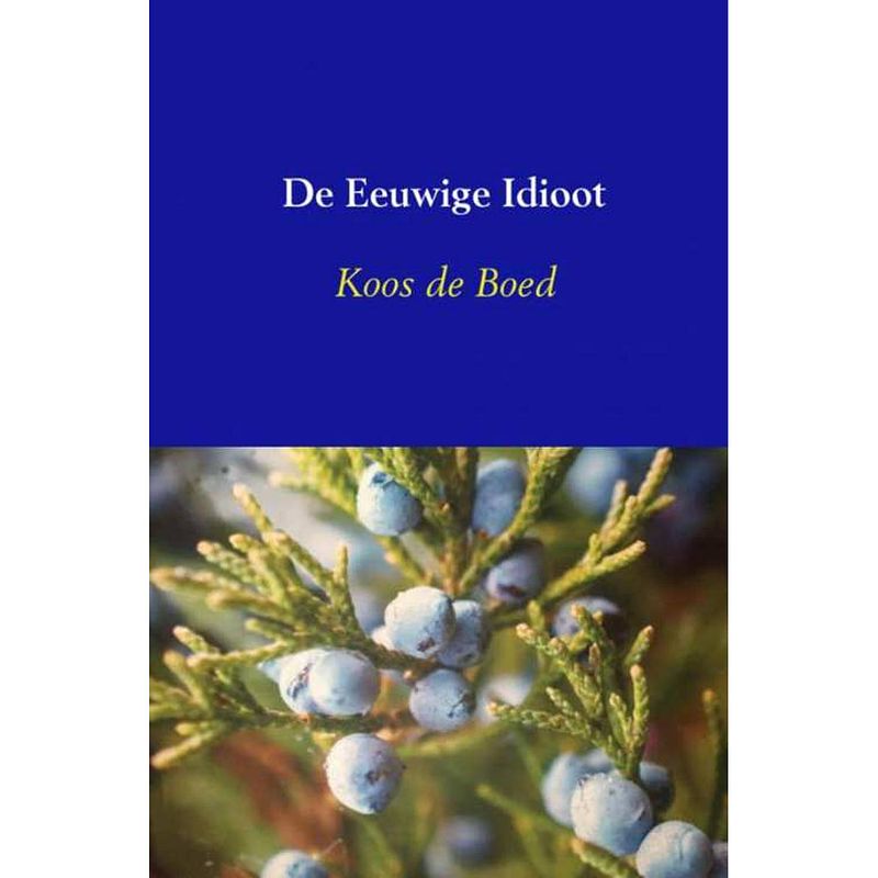 Foto van De eeuwige idioot