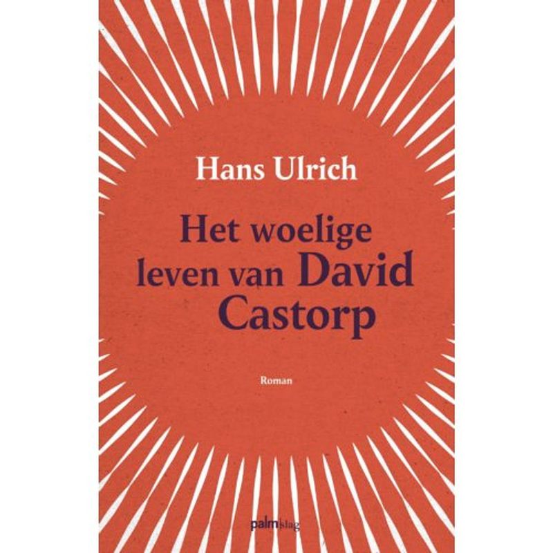 Foto van Het woelige leven van david castorp