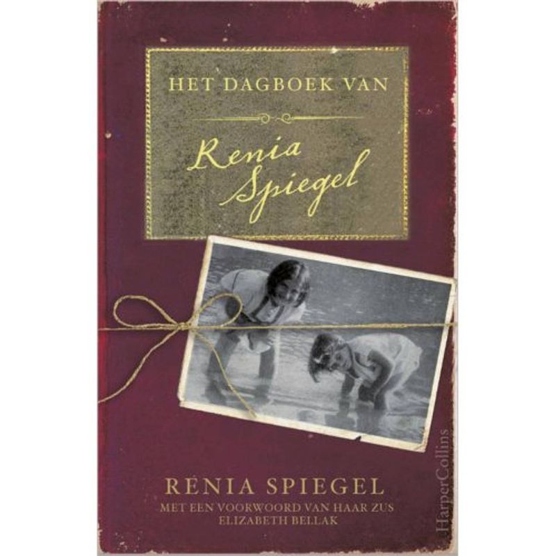 Foto van Het dagboek van renia spiegel