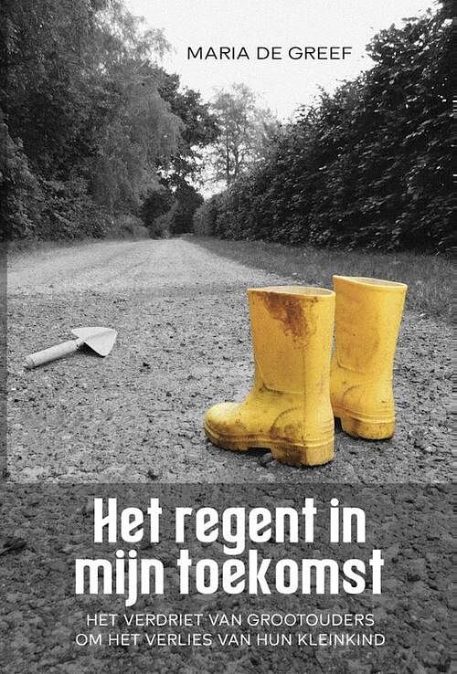 Foto van Het regent in mijn toekomst - maria de greef - paperback (9789083324135)