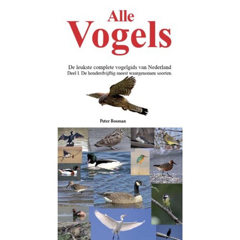 Foto van Alle vogels - alle vogels in nederland