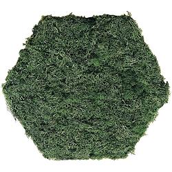 Foto van Mimi innovations hexagon wanddecoratie met rendiermos - adem natuur in jouw ruimte met groene accenten, 32x37x2cm