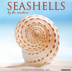 Foto van Sea shells kalender 2023