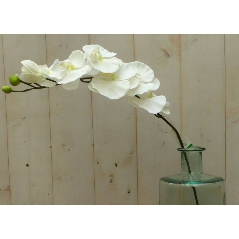 Foto van Warentuin mix - kunstvlinderorchidee op steker wit