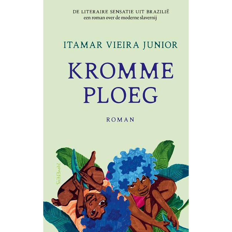 Foto van Kromme ploeg